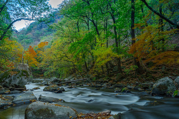 a small river in an autumn landscape with colorful leaves as a long time exposure