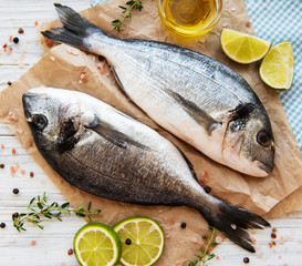 Fresh fish dorado