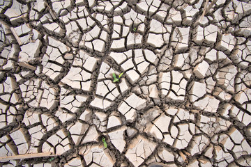 Cracks in ground during dry season drought