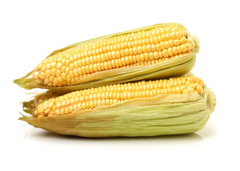 Corn on a white background 