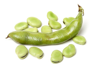 Broad beans on white background
