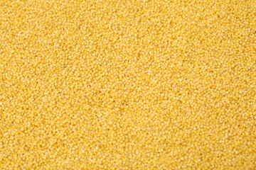 Millet yellow background