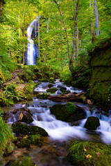 waterfall in the forest, oirase-keiryu