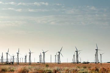 Windmills for electric power production.