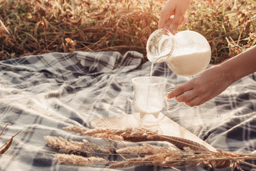 Carafe and a glass with milk on a wooden tray. Picnic in the meadow. Ears of wheat, rye