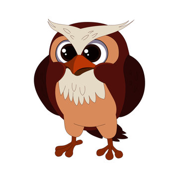Angry and Confused Owl - Cartoon Vector Image