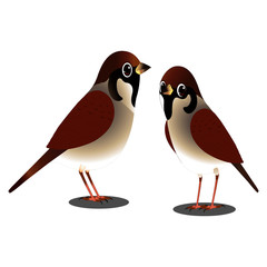 Sparrows Two Birds - Vector Image