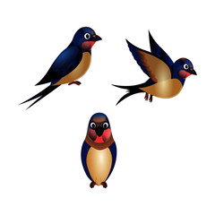 Barn Swallow Bird - Vector Image