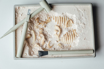 Skeleton and archaeological tools.Training for dig fossil.Simulated same as real digging. Archaeological tools, Archeaologist working on site, close-up, hand and tool. © Ekaterina