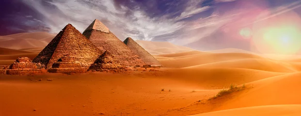 Foto op Plexiglas Giseh pyramids in Cairo in Egypt desert sand sun © artefacti
