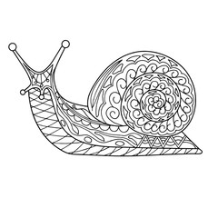 Snail coloring page contour vector illustration for adults and children 