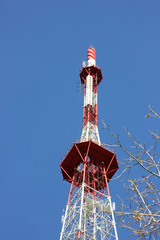 view of the TV tower on the background of tree branches and blue sky
