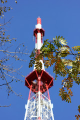 view of the TV tower on the background of tree branches and blue sky