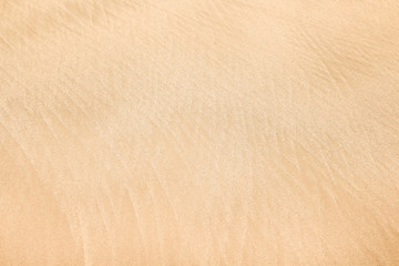 Sandy shore patterns surface nature beach brown light background