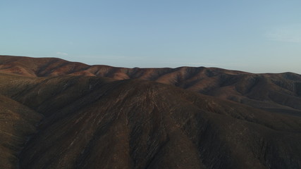 whimsical forms of nature