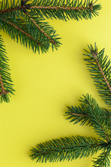 Fototapeta na wymiar Christmas tree branches on a yellow background. Photo for New Year postcard or web banner.