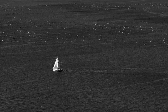 Gulf of Trieste. High cliffs Between boats, karst rocks and ancient castles. Black and white. Duino. Italy