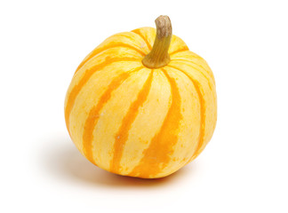 mini pumpkin isolated on white background 