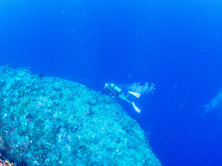 パラオ_ペリリュー_スキューバダイビング