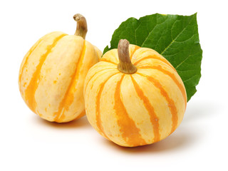 mini pumpkin isolated on white background 