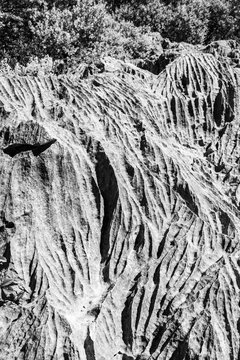 Gulf of Trieste. High cliffs Between boats, karst rocks and ancient castles. Black and white. Duino. Italy