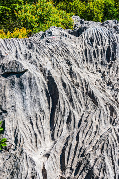 Gulf of Trieste. High cliffs Between boats, karst rocks and ancient castles. Duino. Italy