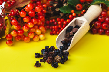 Vitamin berry tea on a yellow background. Autumn composition