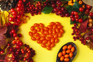Autumn composition with vitamins and berries. Coenzyme Q 10 pills laid out in the form of a heart. Images for banner, poster.