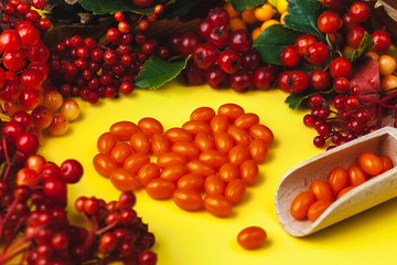Autumn composition with vitamins and berries. Coenzyme Q 10 pills laid out in the form of a heart. Images for banner, poster.