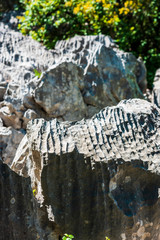 Gulf of Trieste. High cliffs Between boats, karst rocks and ancient castles. Duino. Italy