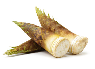 Bamboo shoot on the white background 