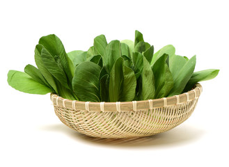 Pok Choi on white background