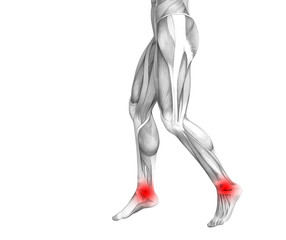 Obraz na płótnie Canvas Conceptual ankle human anatomy with red hot spot inflammation or articular joint pain for leg health care therapy or sport muscle concepts. 3D illustration man arthritis or bone osteoporosis disease