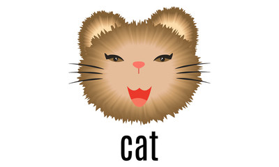 vector illustration of cat