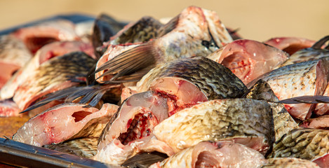 On the table, clean the fish from the scales and remove the entrails. Peeling and fillet of fresh fish that use a knife to clean the fish. Seafood cooking.