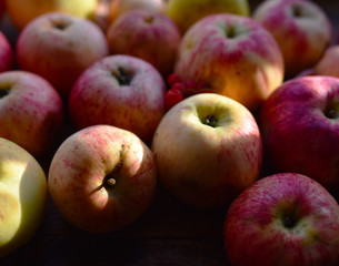 Fototapeta na wymiar striped autumn apples in the sunlight