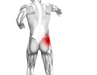 Fototapeta na wymiar Conceptual hip human anatomy with red hot spot inflammation articular joint pain for leg health care therapy or sport muscle concepts. 3D illustration man arthritis or bone sore osteoporosis disease