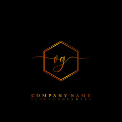 Fototapeta na wymiar OG Initial luxury handwriting logo vector