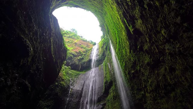 Madakaripura Waterfall in national park. The tallest waterfall in Java Island. Nature landscape background of travel trip and holidays vacation in Indonesia. Tourist attraction.