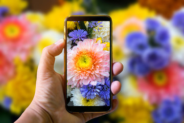 Hand holding mobile phone and take a photo colorful flowers on blurred background with sunlight.Smart phone trip, close-up of a beautiful woman's hands are taking purple flower. 