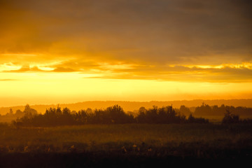 Morning summer foggy dawn in the field. Summer landscape. The sun is waking up. The sky and the sun. Golden sky. The lights of a sun. Golden dawn.