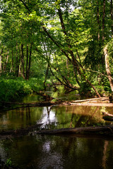 Calm river and green nature. Wallpaper scenery