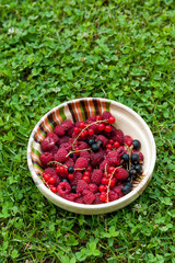 A bowl with fresh raspberries