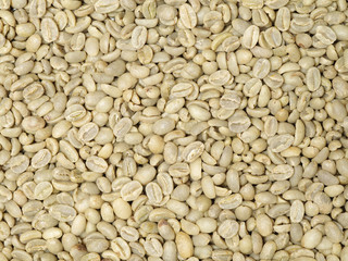 Green coffee beans background