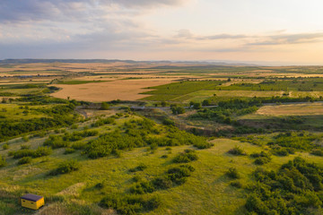 Blooming lavender field in the Alazani Valley, Kakheti, Georgia country. Summer 2019