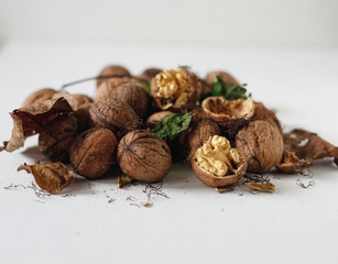 Walnuts on a white background