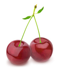 Composition with fresh cherries isolated on white background. As design element.