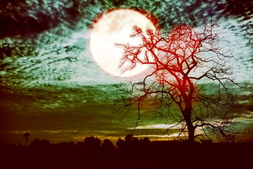 halloween background.blood tree and full moom with scarry sky
