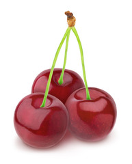 Composition with fresh cherries isolated on white background. As design element.