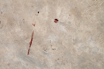 Bloodstain